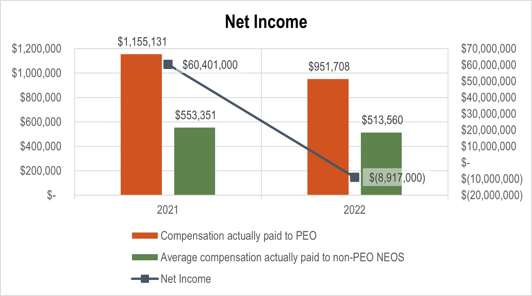 Net Income Chart_PvP 2022 2.jpg